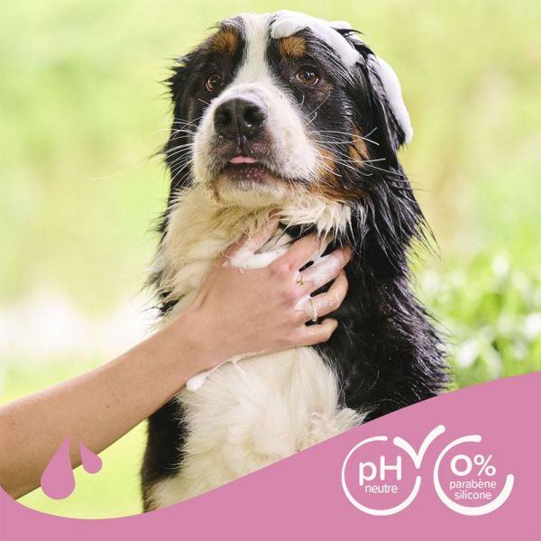Beaphar Essentiel Shampoing pour chien au pelage long (250 ml)