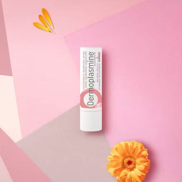 Boiron Dermoplasmine Stick lèvres hydratant (2 x 4 g)