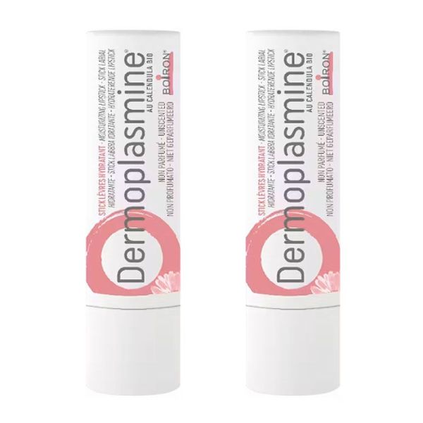 Boiron Dermoplasmine Stick lèvres hydratant (2 x 4 g)