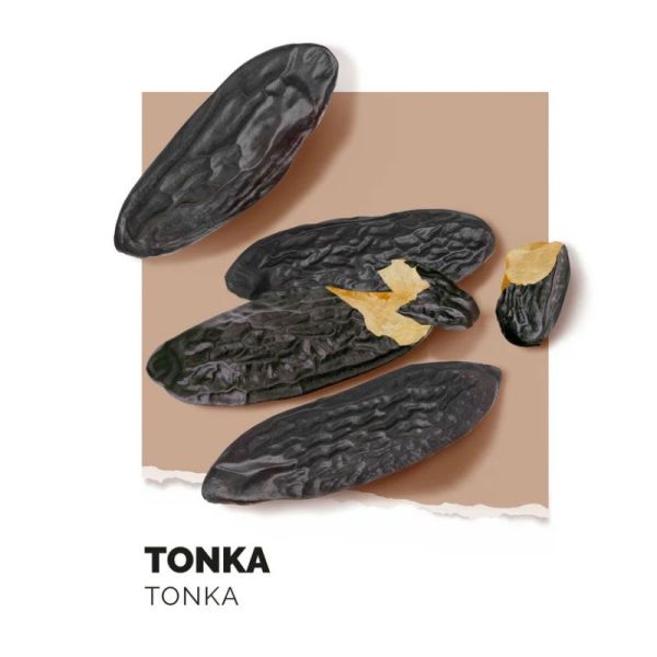 Solinotes Coffret Duo Tonka Eau Parfum 50 ml + Brume 60 ml