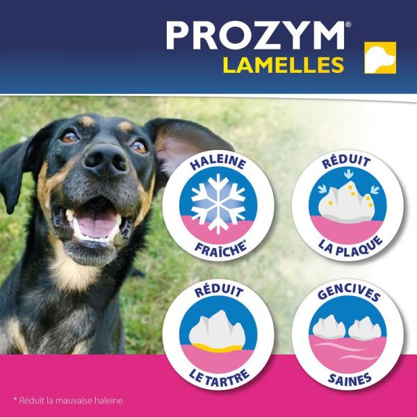 Prozym Lamelles à mâcher taille S (15 lamelles)