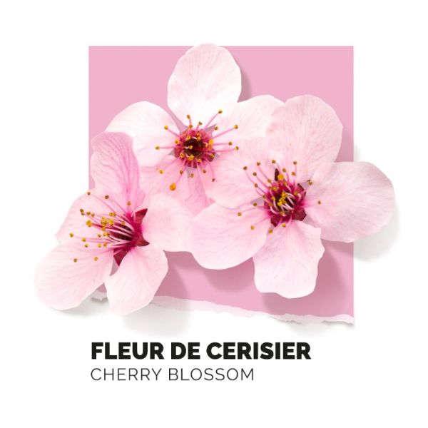 Solinotes Brume Parfumée Fleur de Cerisier, purifiant (180 ml)