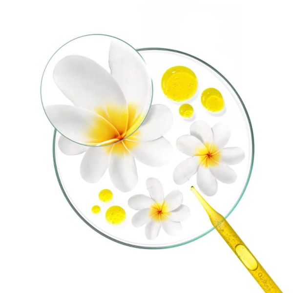 Klorane Solaire Huile cheveux protectrice & nourrissante au Tamanu bio et Monoï (100 ml)