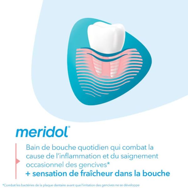 Meridol Bain De Bouche Protection Gencives (400 ml)