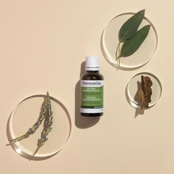 AROMAFORCE Solution Défenses Naturelles Bio