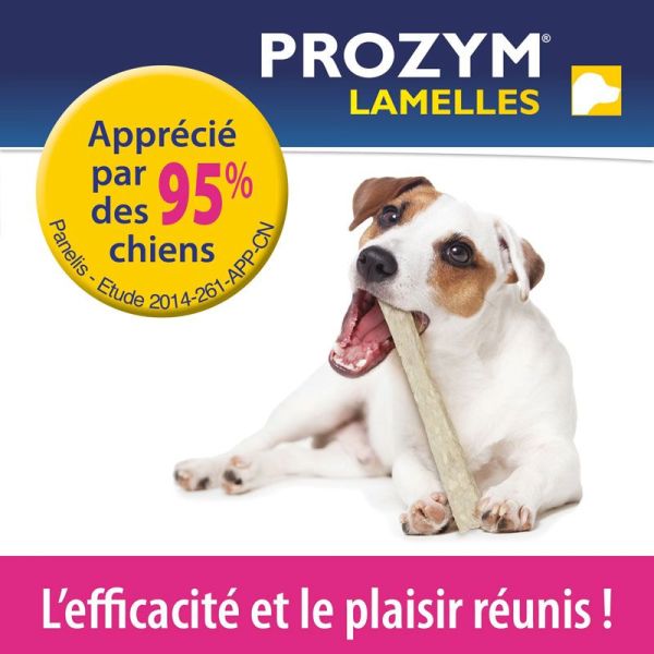 Prozym Lamelles à mâcher taille M (15 lamelles)