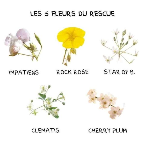 Bach Rescue Nuit Kids Pastilles Framboise endormissement & sommeil (50 g)