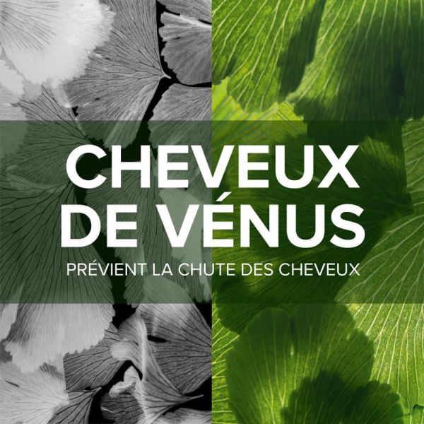 Forcapil Anti-Chute cheveux et ongles dévitalisés (30 comprimés)