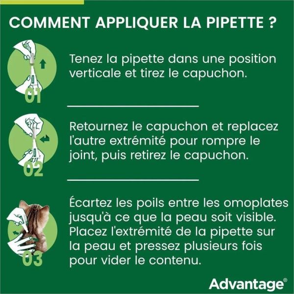 Advantage 80 anti-puces pour chats & lapins de plus de 4 kg (6 x 0,8 ml)