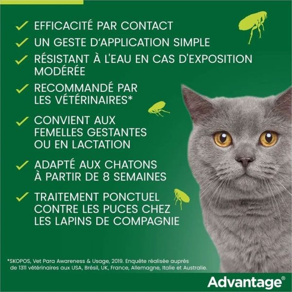 Advantage 80 anti-puces pour chats & lapins de plus de 4 kg (6 x 0,8 ml)