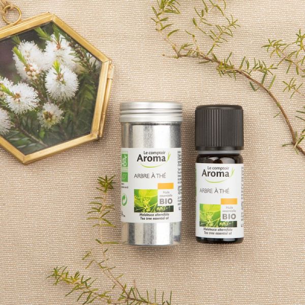 Le Comptoir Aroma Huile Essentielle Arbre à Thé 10ml