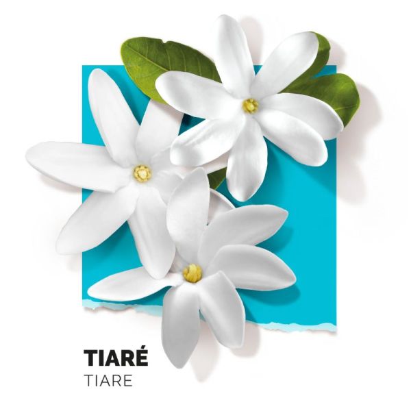 Solinotes Brume parfumée Tiaré, dépaysant (180 ml)