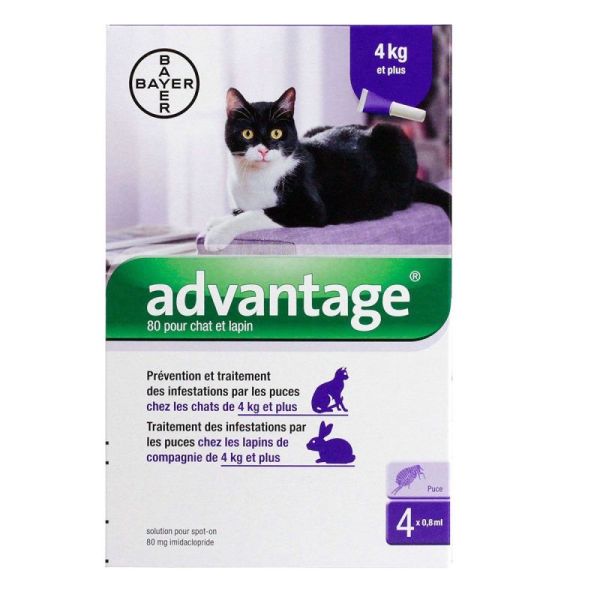 Advantage 80 Pipette 0,8 ml Anti-puces Chats et Lapins 4 kg et plus (x4)