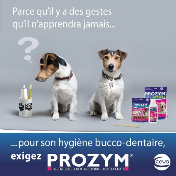 Prozym Lamelles à mâcher taille S (15 lamelles)