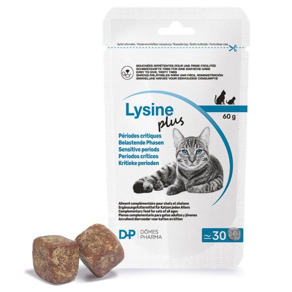 Lysine Plus chats & chatons (60g)