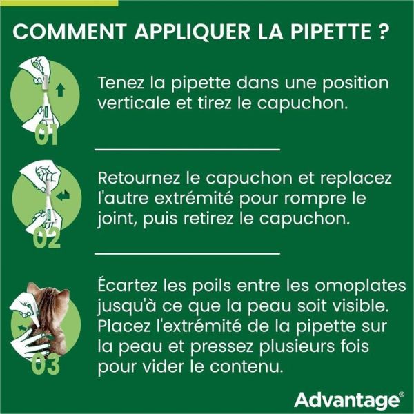 Advantage 40 anti-puces pour chats & lapins de 0 à 4 kg (6 x 0,4 ml)