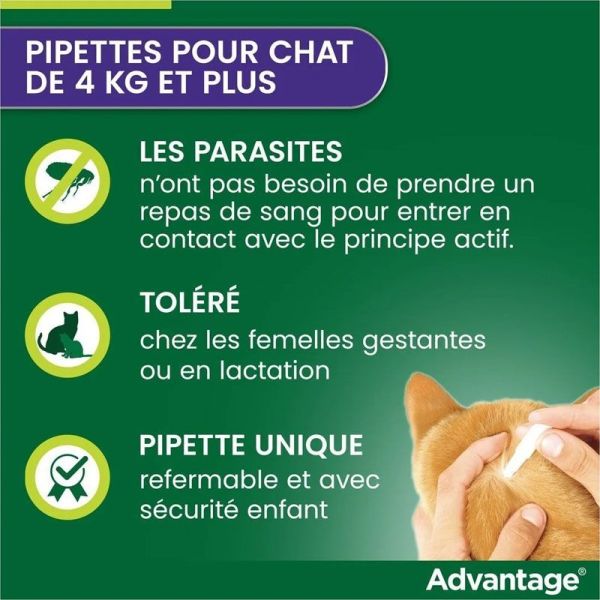 Advantage 80 anti-puces pour chats & lapins de plus de 4 kg (6 x 0,8 ml)