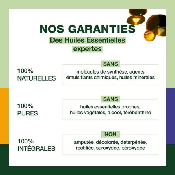 Pranarôm Coups de Froid Jour & Nuit aux huiles essentielles 100% naturelles (15 capsules)