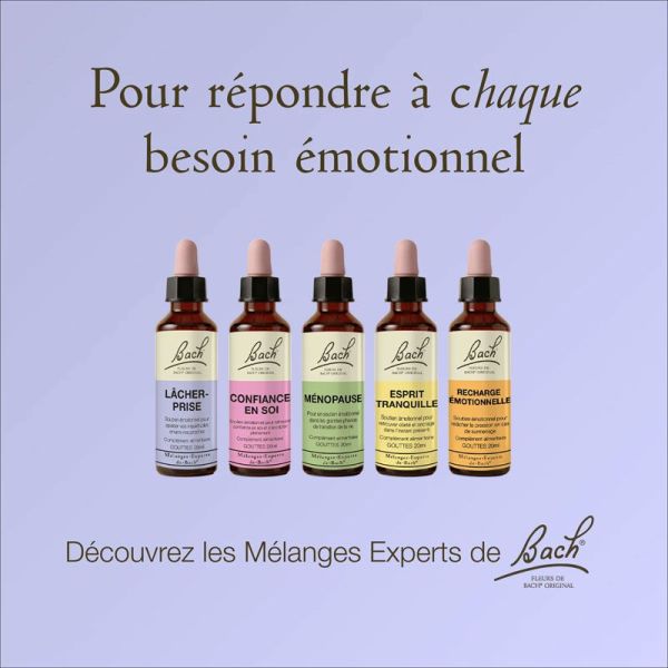 Fleurs De Bach Original Mélange Expert Lâcher-Prise (20 ml)