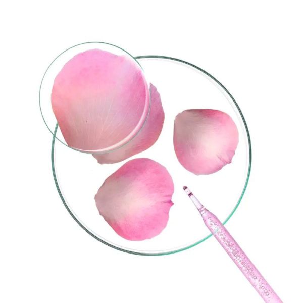 Klorane Shampoing apaisant anti-irritation et protecteur à la Pivoine (100 ml)